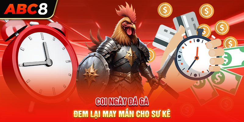 Coi ngày đá gà đem lại may mắn cho sư kê