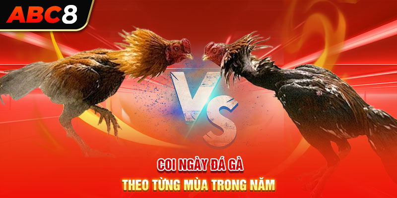 Coi ngày đá gà theo từng mùa trong năm