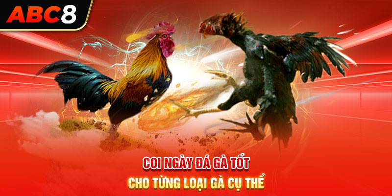 Coi ngày đá gà tốt cho từng loại gà cụ thể