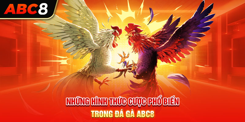 Những hình thức cược phổ biến trong đá gà ABC8