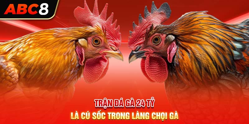 Trận đá gà 24 tỷ là cú sốc trong làng chọi gà